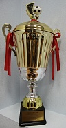 Кубок  Чемпионов в Ростове